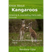 Know About Kangaroos: Amazing & Interesting Facts with Pictures: Never Known Before Kangaroo Facts