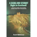 A Dark and Stormy Night in Scotland!: Folk Tales, Legends, and Disturbing Bedtime Stories for the True Believer