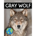 Gray Wolf: Fascinating Animal Facts for Kids