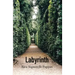 Labyrinth