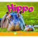 Hippo