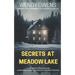 Secrets At Meadow Lake: A gripping and suspenseful psychological thriller