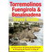 Torremolinos, Fuengirola & Benalmadena Travel Guide: Attractions, Eating, Drinking, Shopping & Places To Stay