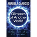 Glimpses of Another World: Impressions and Reflections of an EVP Operator
