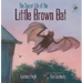 The Secret Life of the Little Brown Bat