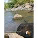 Assessment of Macroinvertebrate Communities in Adjacent Urban Stream Basins, Kansas City, Missouri, Metropolitan Area, 2007 through 2011