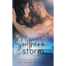 Southern Storm (the southern series)