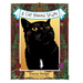 A Cat Named Spider