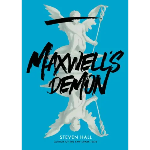 Maxwell's Demon