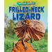Frilled-Neck Lizard