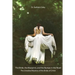 The Bride, the Blueprint, and the Bumps in the Road: The Unveiled Mystery of the Bride of Christ