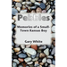 Pebbles: Memories of a Small-Town Kansas Boy