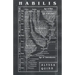 Habilis