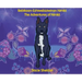 Bebikaan-Ezhiwebiziwinan Nimkii: The Adventures of Nimkii: The Adventures of Nimkii