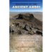 Hillforts of the Ancient Andes: Colla Warfare, Society, and Landscape