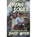 Arena of Souls: A Brock Stone Adventure