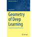 Geometry of Deep Learning: A Signal Processing Perspective