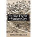 From Pine Forest to Market City: The History of Clare Michigan's Downtown