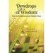Dewdrops of Wisdom: Practical Guidance from Mother Mary
