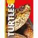 Curious about Turtles