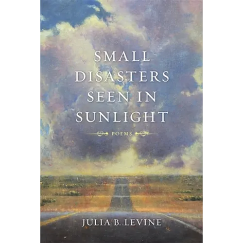 Small Disasters Seen in Sunlight