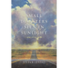 Small Disasters Seen in Sunlight