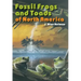 Fossil Frogs and Toads of North America