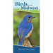 Birds of the Midwest: Identify Backyard Birds with Ease