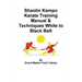 Shaolin Kempo Karate Training Manual & Techniques White to Black Belt