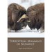 Terrestrial Mammals of Nunavut