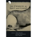 The Church as Salt and Light: Path to an African Ecclesiology of Abundant Life
