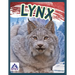Lynx