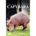 Capybara - Curious Kids Press: Kids book about animals and wildlife, Children's books 4-6