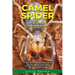 Camel Spider: A Camel Spider Pet Owner's Guide