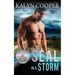SEAL in a Storm