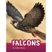 Falcons