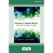 Shaping a Digital World: Faith, Culture and Computer Technology (16pt Large Print Edition)