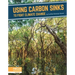 Using Carbon Sinks to Fight Climate Change