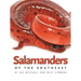 Salamanders of the Southeast
