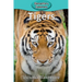 Tigers