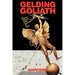 Gelding Goliath