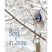 Best in Snow