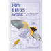 How Birds Work: An Illustrated Guide to the Wonders of Form and Function - From Bones to Beak