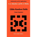 Gibbs Random Fields: Cluster Expansions