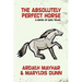 The Absolutely Perfect Horse: A Novel of East Texas