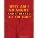 Why Am I So Angry and Stressed All the Time?: The Hidden Secret of Anger and Stress in Our Lives