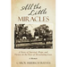 All the Little Miracles: A Story of Survival, Hope, and Victory in the Face of Devastating Loss a Memoir
