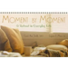 Moment by Moment: A Retreat in Everyday Life