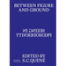 Between Figure and Ground: Seeing in Premodernity