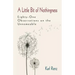 A Little Bit of Nothingness